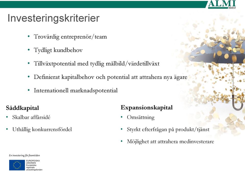 Internationell marknadspotential Såddkapital Skalbar affärsidé Uthållig konkurrensfördel