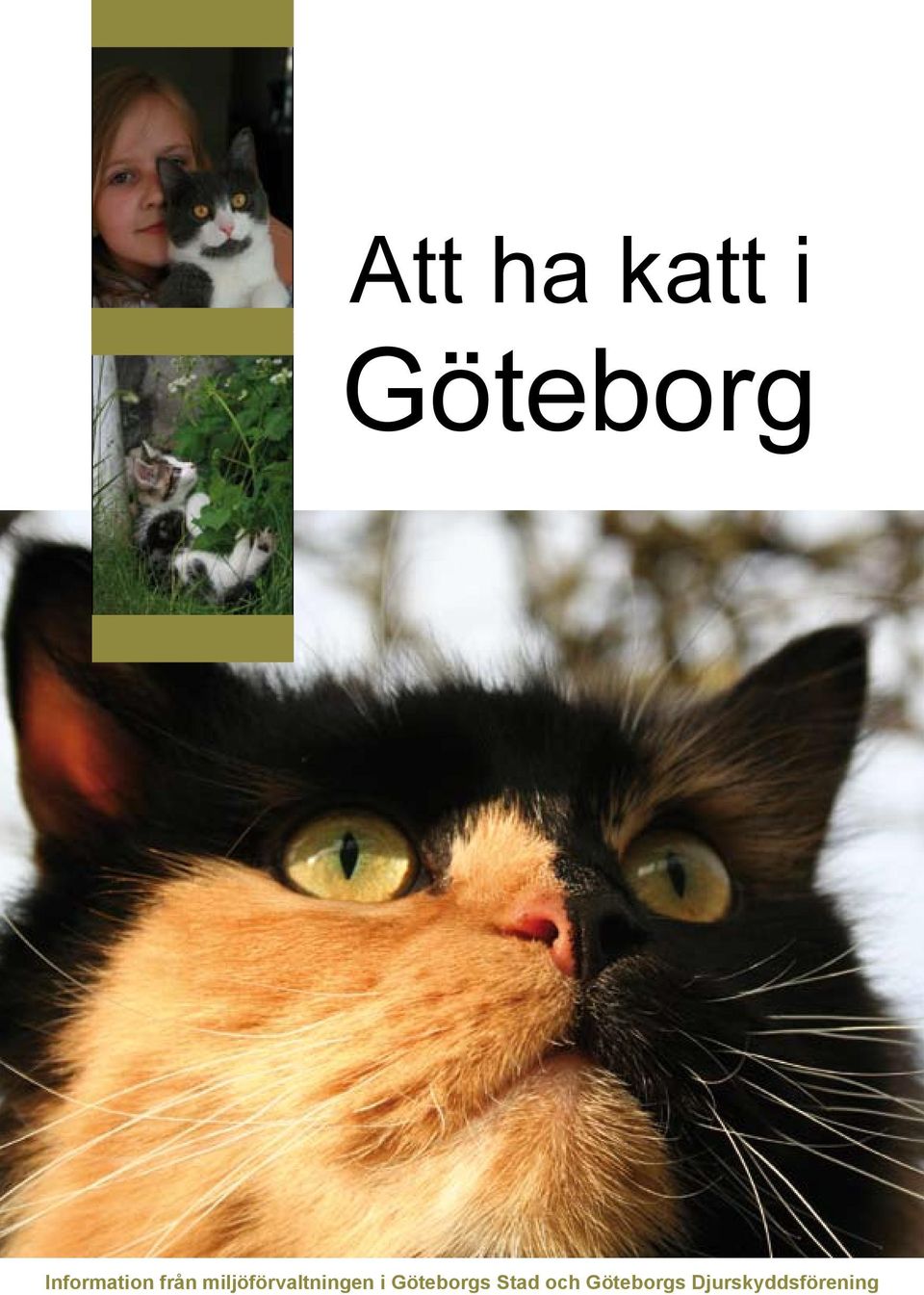 miljöförvaltningen i