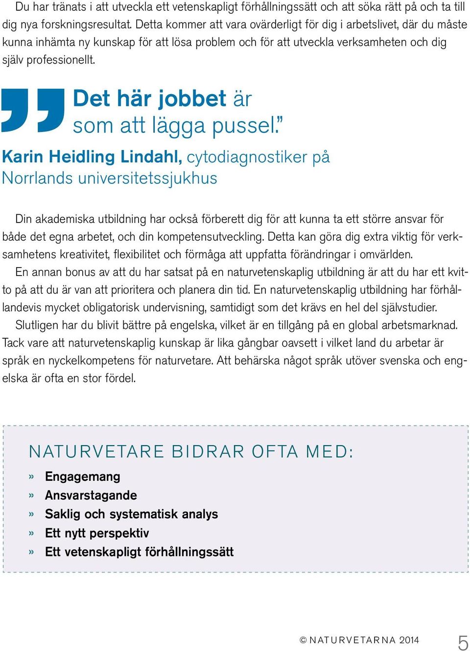 Det här jobbet är som att lägga pussel.