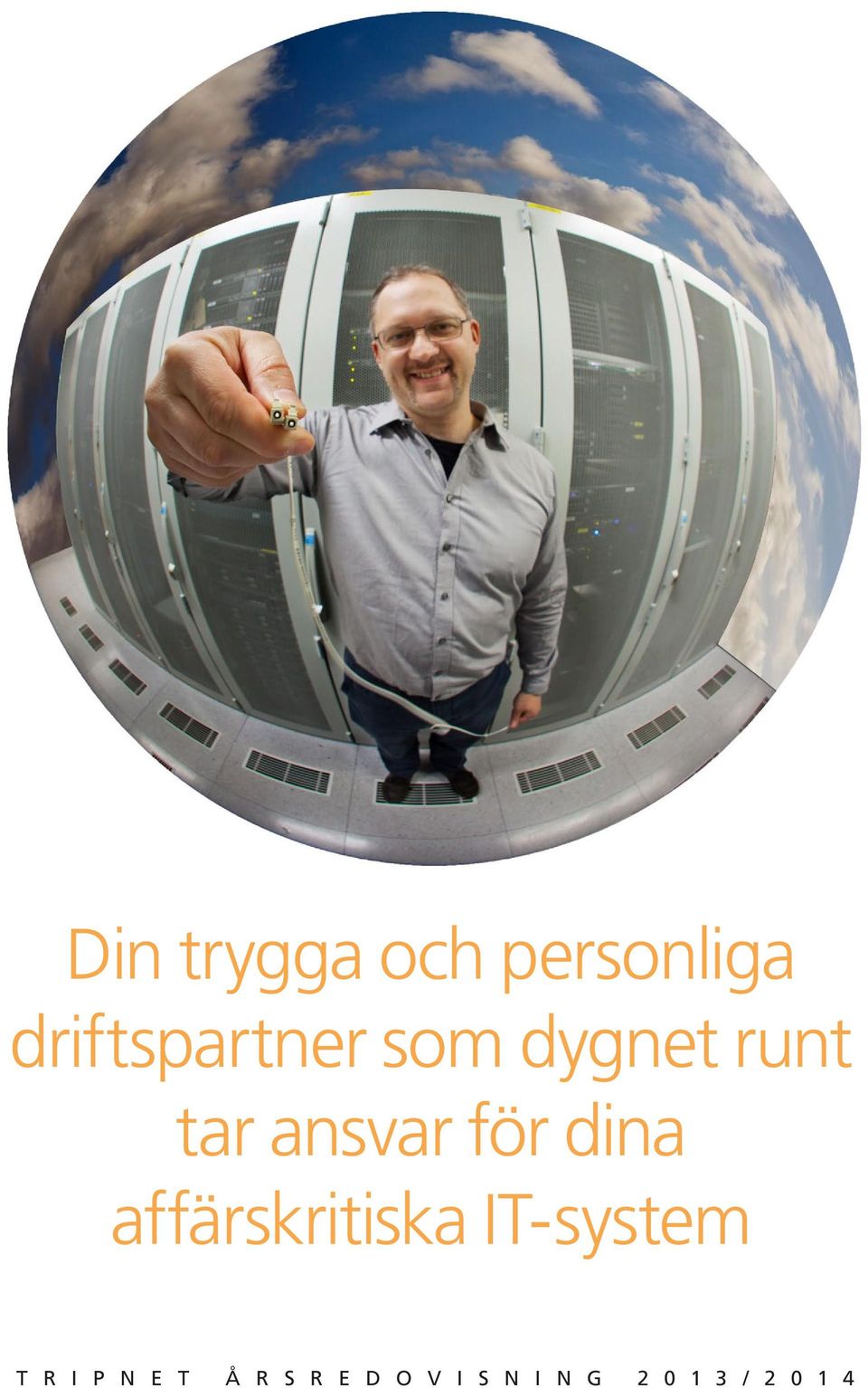 affärskritiska IT-system T R I P N E T