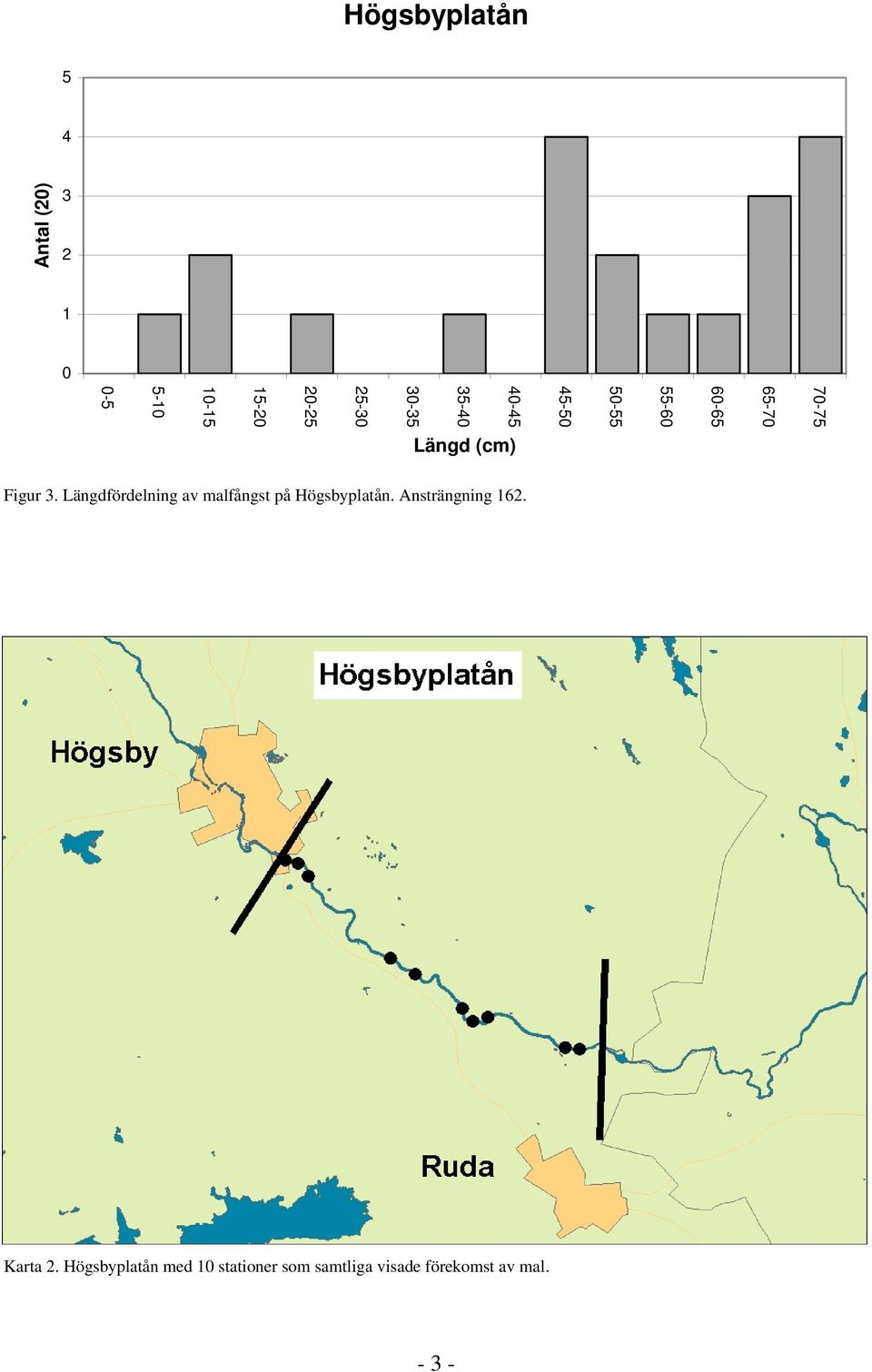 Längdfördelning av malfångst på Högsbyplatån. Ansträngning 162.