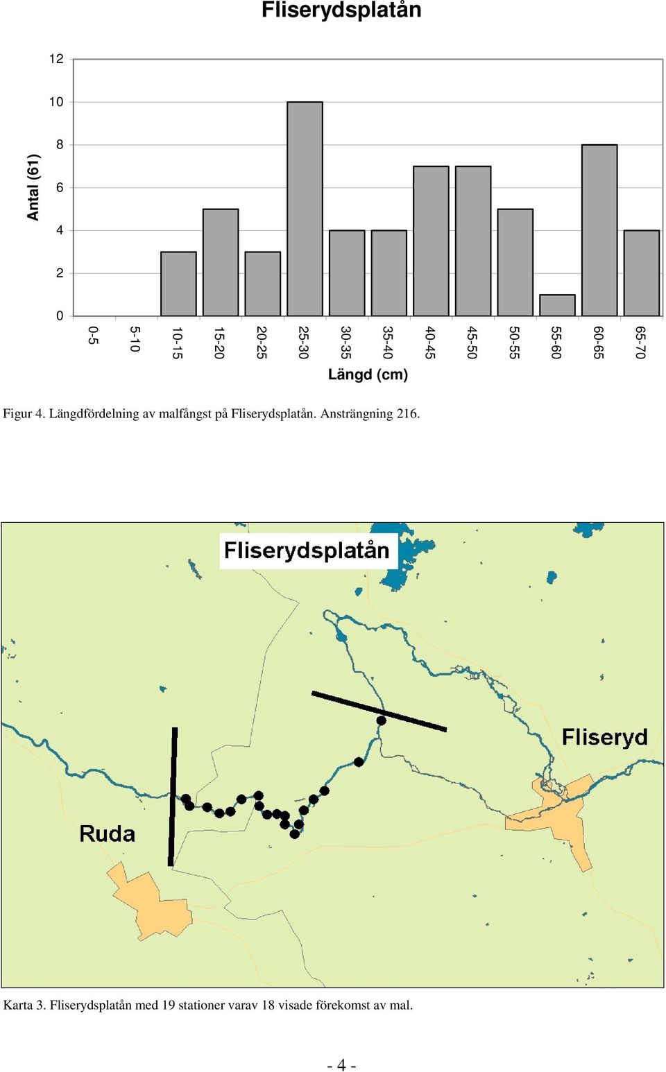 Längdfördelning av malfångst på Fliserydsplatån. Ansträngning 216.