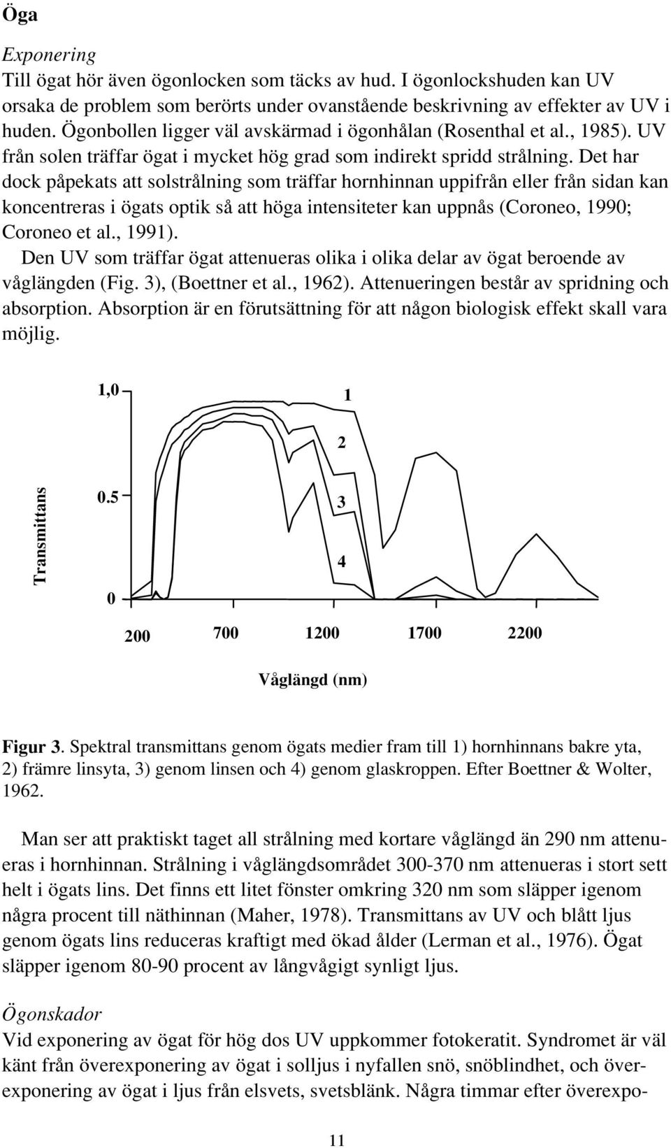 Det har dock påpekats att solstrålning som träffar hornhinnan uppifrån eller från sidan kan koncentreras i ögats optik så att höga intensiteter kan uppnås (Coroneo, 1990; Coroneo et al., 1991).