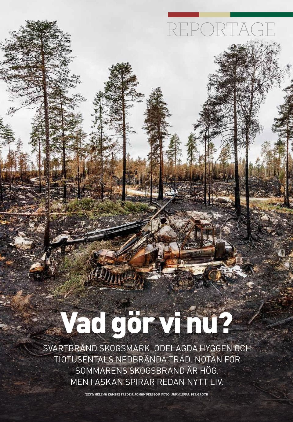 TRÄD. NOTAN FÖR SOMMARENS SKOGSBRAND ÄR HÖG.