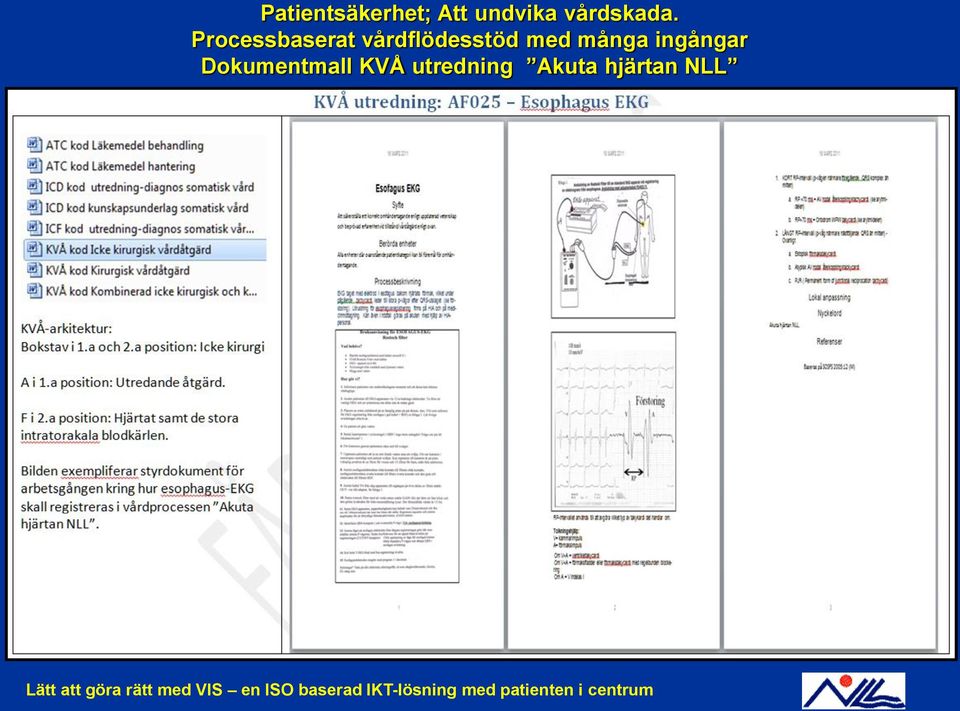 utredning Akuta hjärtan NLL Lätt att 2011-05-24 göra rätt med VIS en