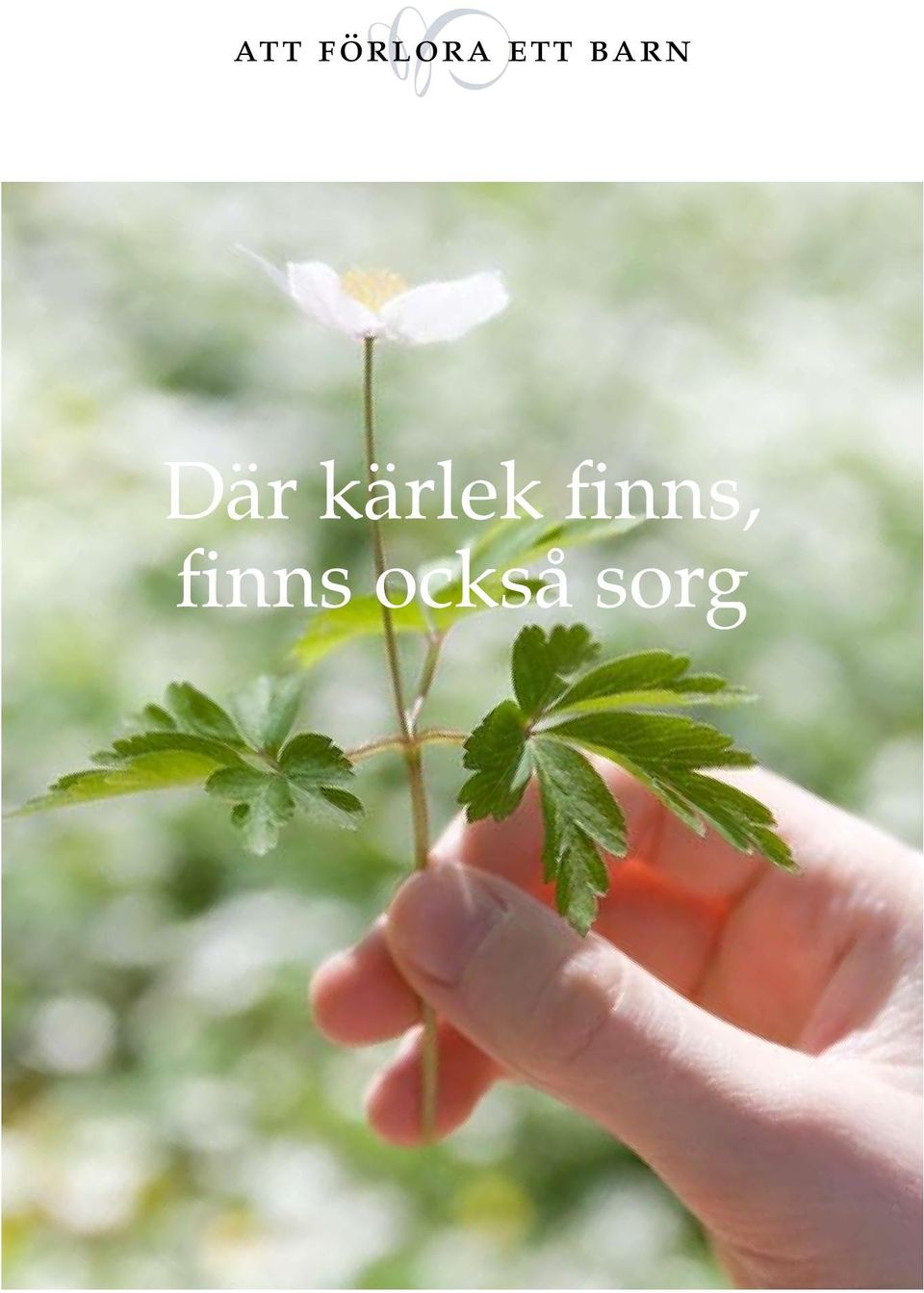 kärlek finns,