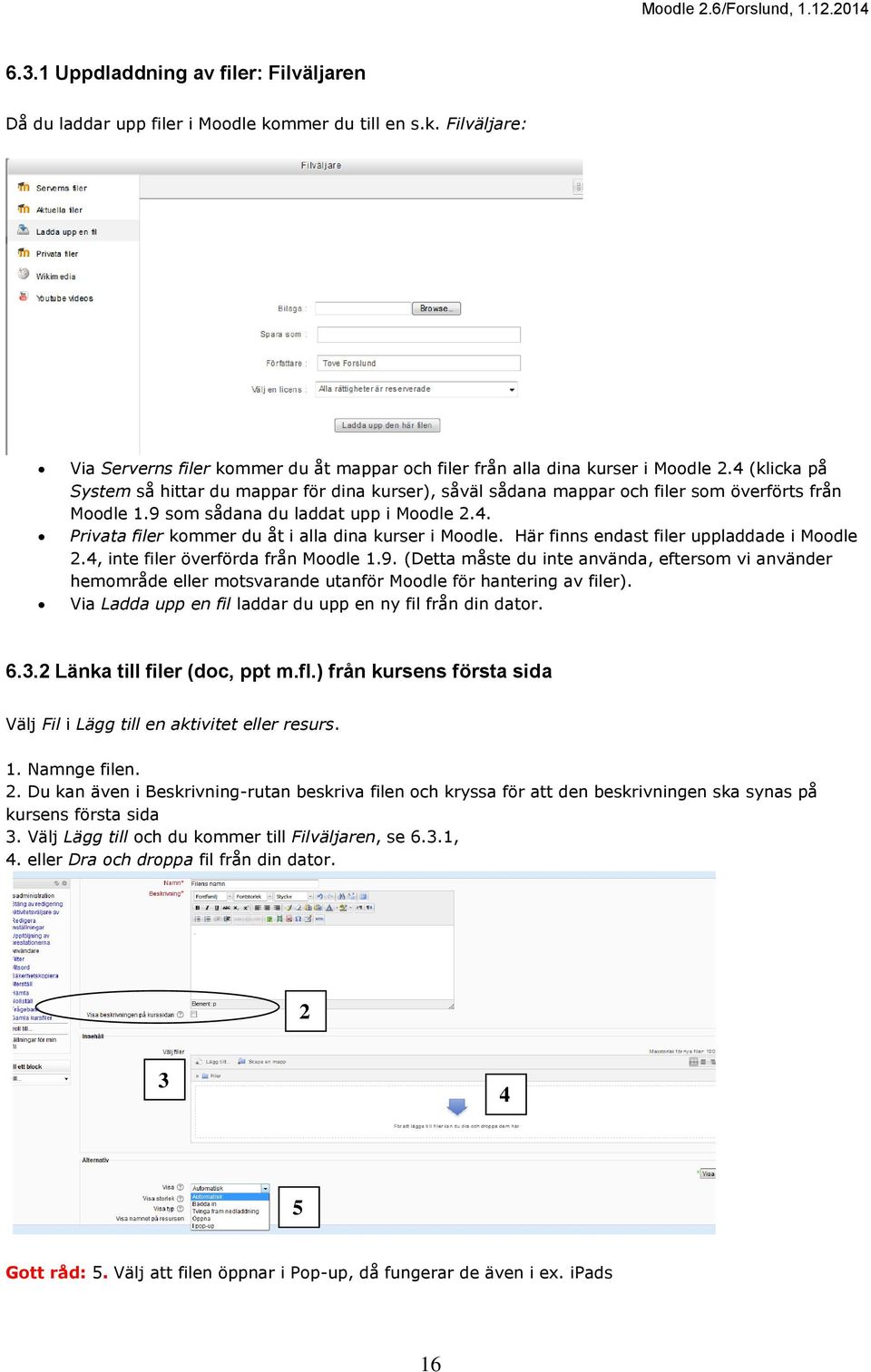 Här finns endast filer uppladdade i Moodle 2.4, inte filer överförda från Moodle 1.9.