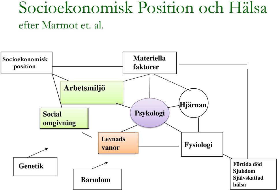 omgivning Arbetsmiljö Levnads vanor Psykologi Hjärnan