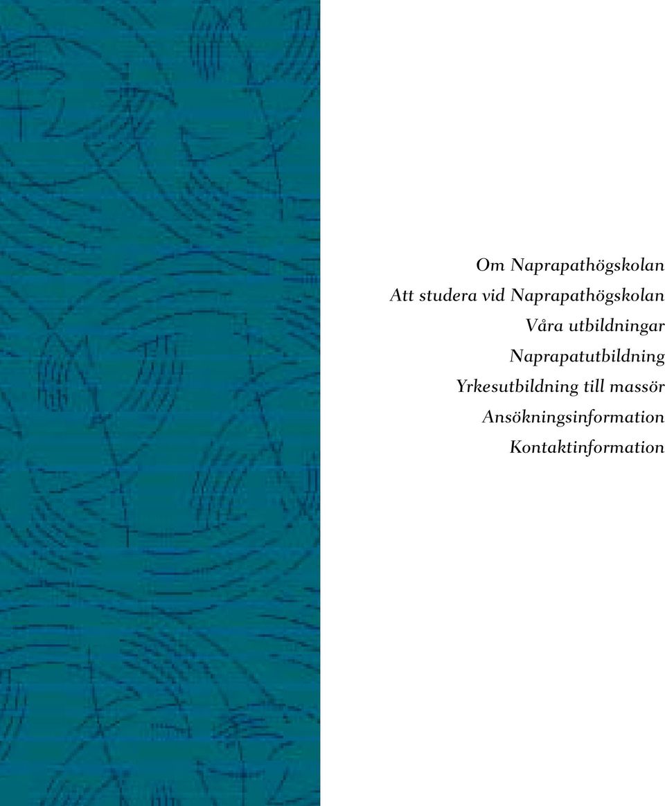 Naprapatutbildning Yrkesutbildning till