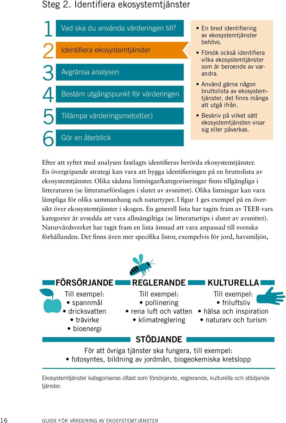 Försök också identifiera vilka ekosystemtjänster som är beroende av varandra. Använd gärna någon bruttolista av ekosystemtjänster, det finns många att utgå ifrån.