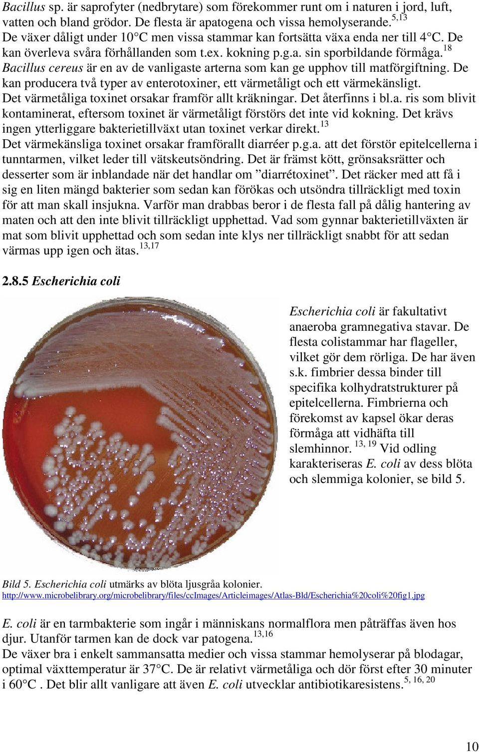 18 Bacillus cereus är en av de vanligaste arterna som kan ge upphov till matförgiftning. De kan producera två typer av enterotoxiner, ett värmetåligt och ett värmekänsligt.