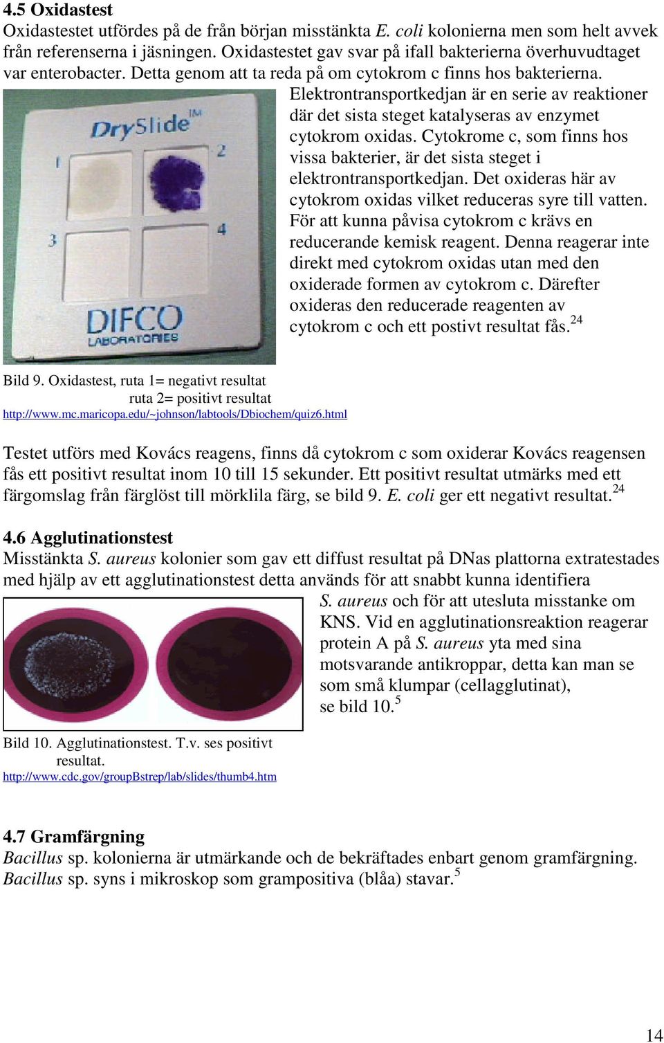 Elektrontransportkedjan är en serie av reaktioner där det sista steget katalyseras av enzymet cytokrom oxidas.