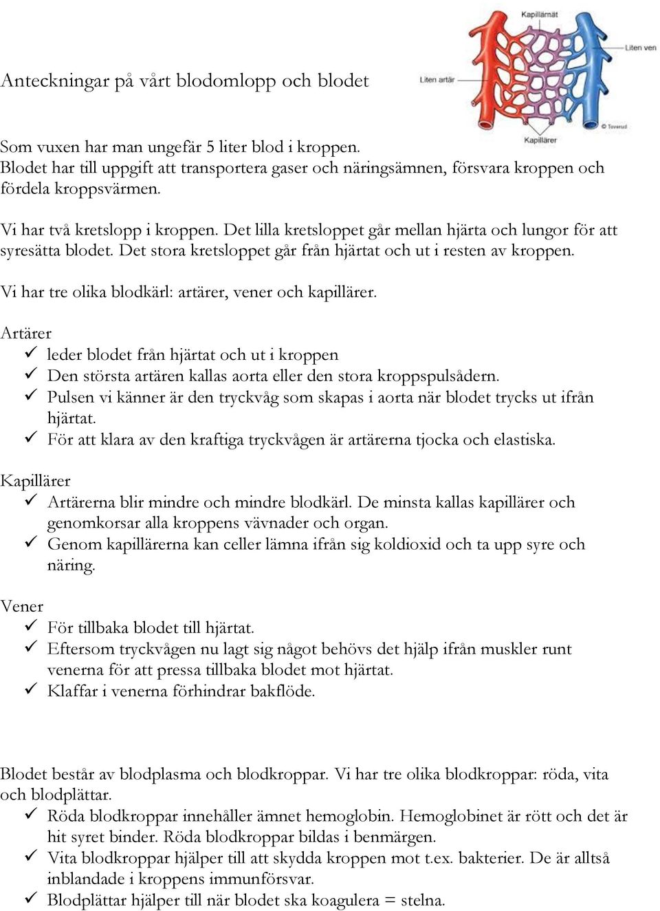 Vi har tre olika blodkärl: artärer, vener och kapillärer. Artärer leder blodet från hjärtat och ut i kroppen Den största artären kallas aorta eller den stora kroppspulsådern.