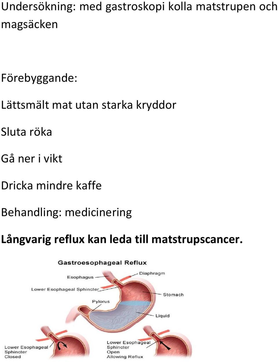 kryddor Sluta röka Gå ner i vikt Dricka mindre kaffe