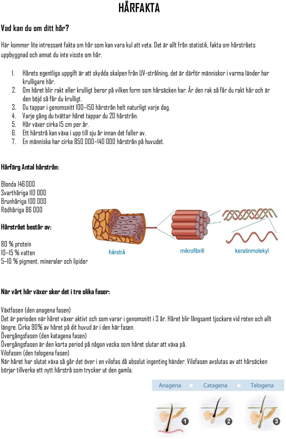 Om håret blir rakt eller krulligt beror på vilken form som hårsäcken har. Är den rak så får du rakt hår och är den böjd så får du krulligt. 3.