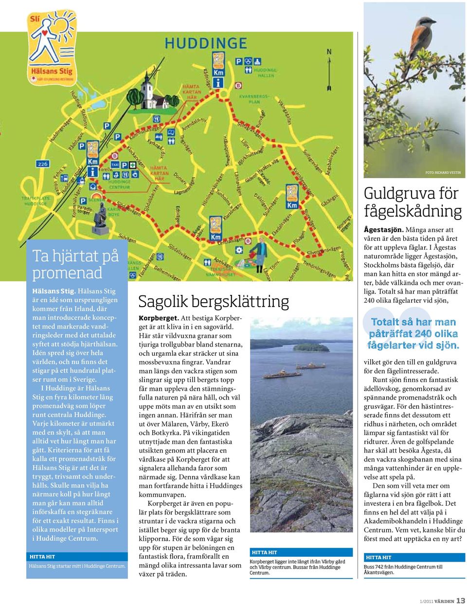 Idén spred sig över hela världen, och nu finns det stigar på ett hundratal platser runt om i Sverige. I Huddinge är Hälsans Stig en fyra kilometer lång promenadväg som löper runt centrala Huddinge.