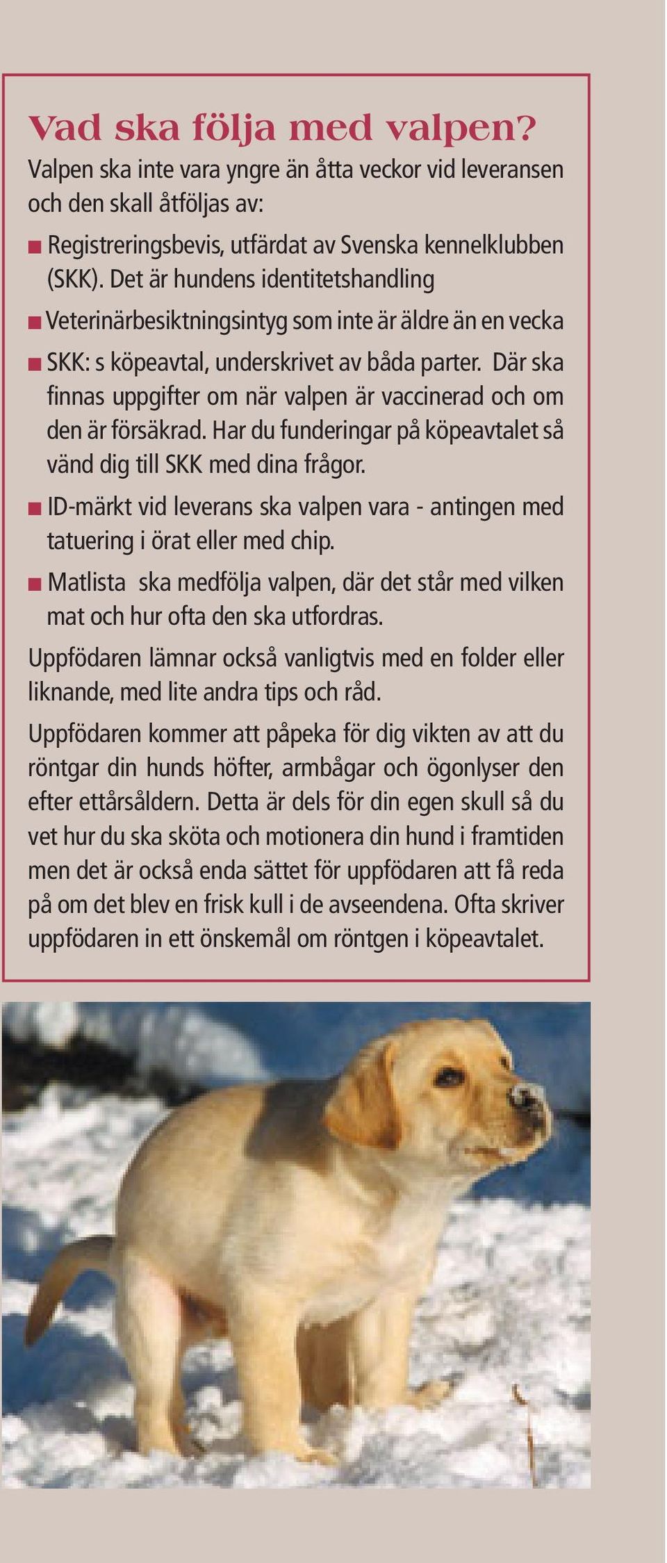 Där ska finnas uppgifter om när valpen är vaccinerad och om den är försäkrad. Har du funderingar på köpeavtalet så vänd dig till SKK med dina frågor.