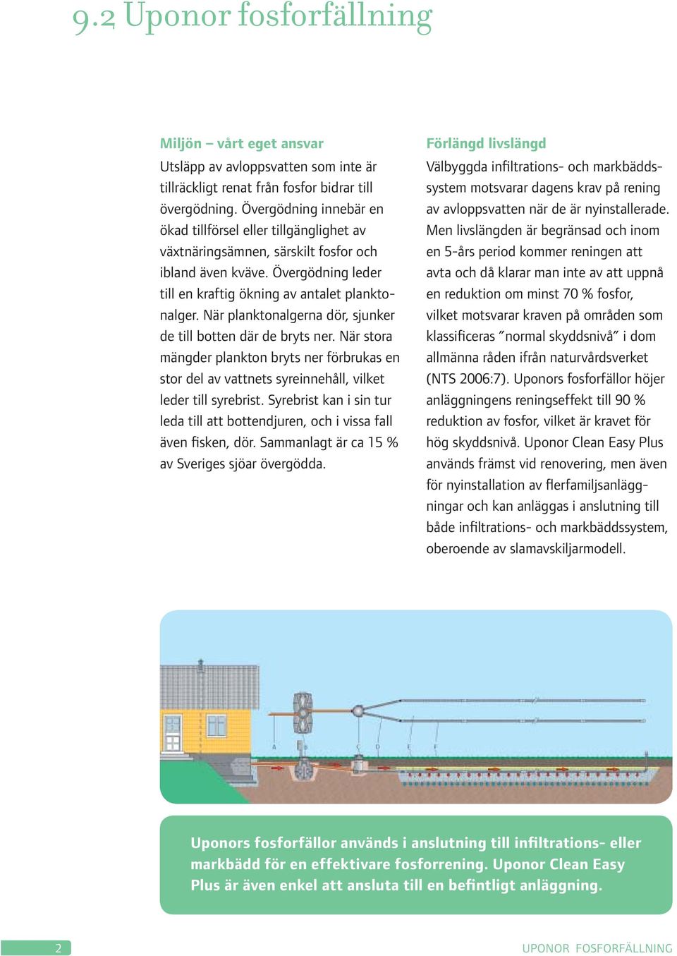 När planktonalgerna dör, sjunker de till botten där de bryts ner. När stora mängder plankton bryts ner förbrukas en stor del av vattnets syreinnehåll, vilket leder till syrebrist.