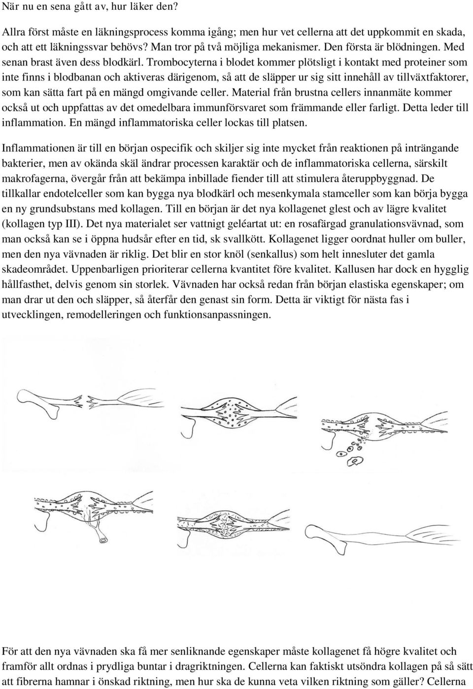 Trombocyterna i blodet kommer plötsligt i kontakt med proteiner som inte finns i blodbanan och aktiveras därigenom, så att de släpper ur sig sitt innehåll av tillväxtfaktorer, som kan sätta fart på