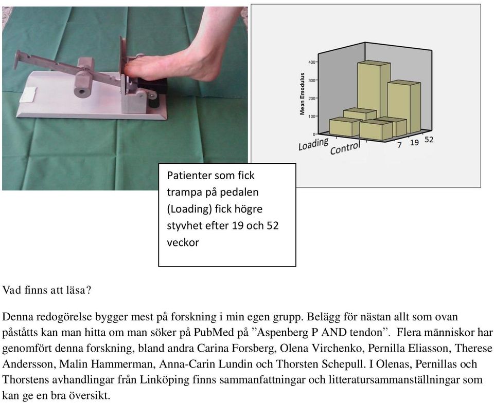 Belägg för nästan allt som ovan påståtts kan man hitta om man söker på PubMed på Aspenberg P AND tendon.