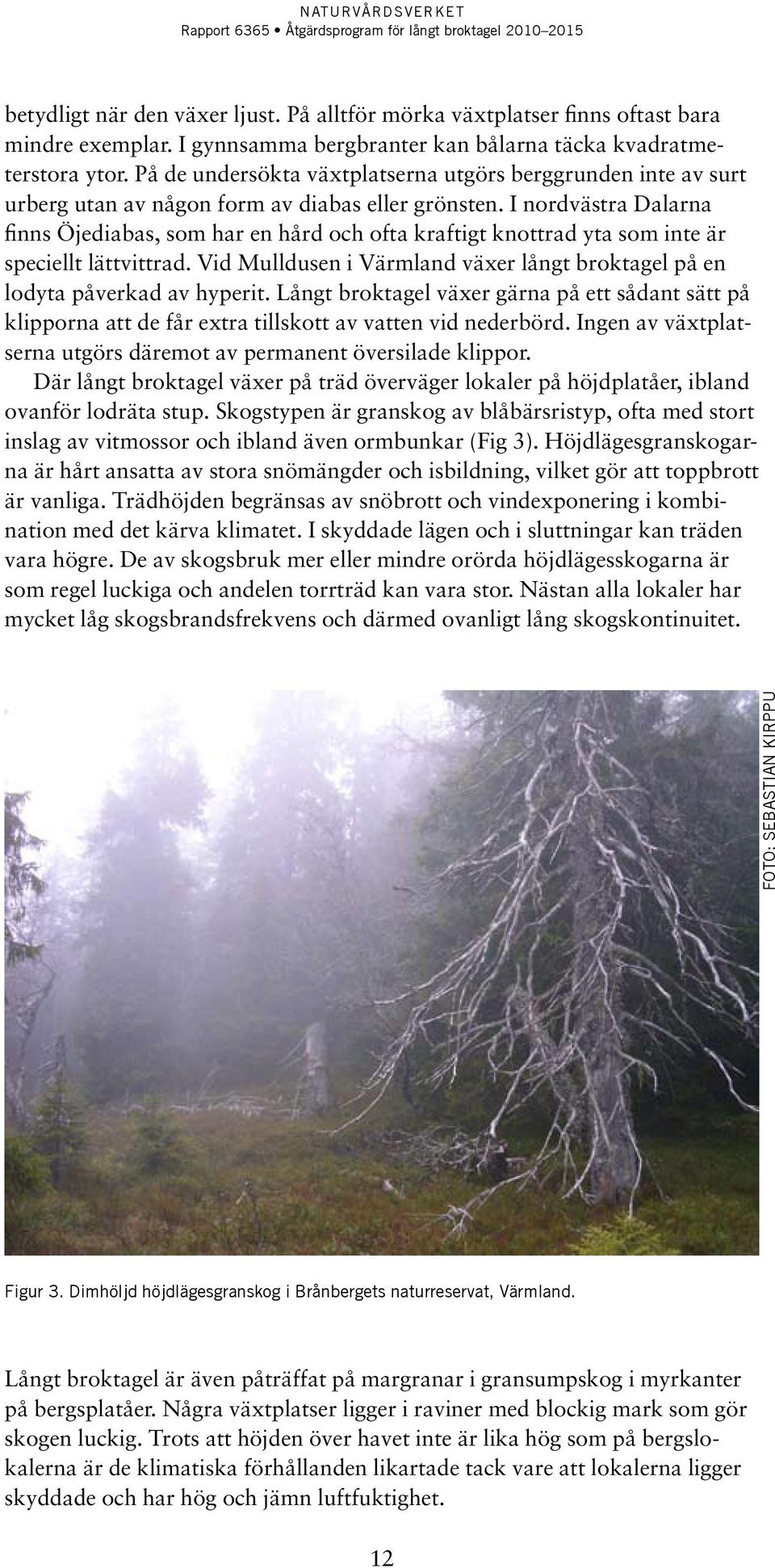 I nordvästra Dalarna finns Öjediabas, som har en hård och ofta kraftigt knottrad yta som inte är speciellt lättvittrad. Vid Mulldusen i Värmland växer långt broktagel på en lodyta påverkad av hyperit.