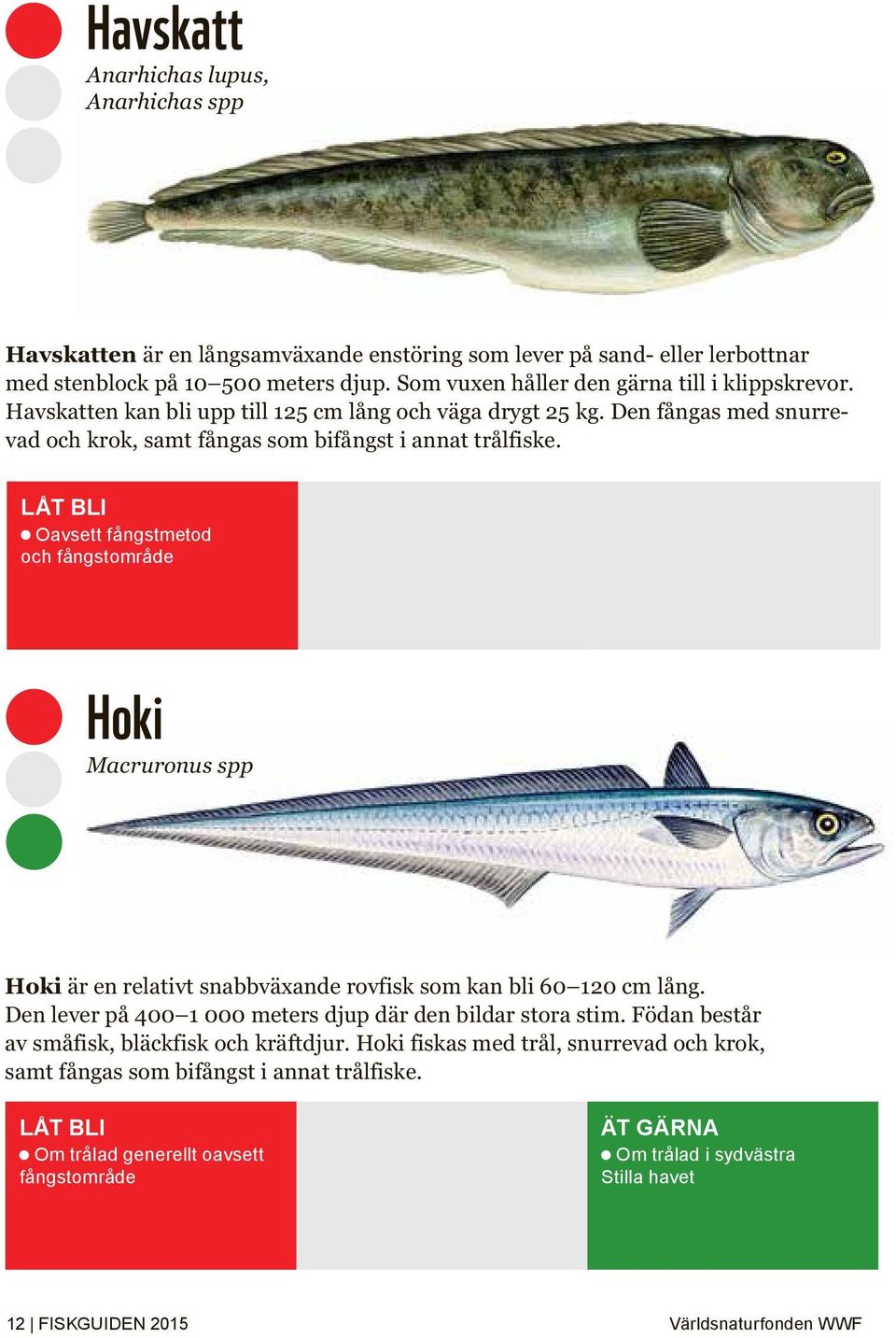 Oavsett fångstmetod och fångstområde Hoki Macruronus spp Hoki är en relativt snabbväxande rovfisk som kan bli 60 120 cm lång. Den lever på 400 1 000 meters djup där den bildar stora stim.