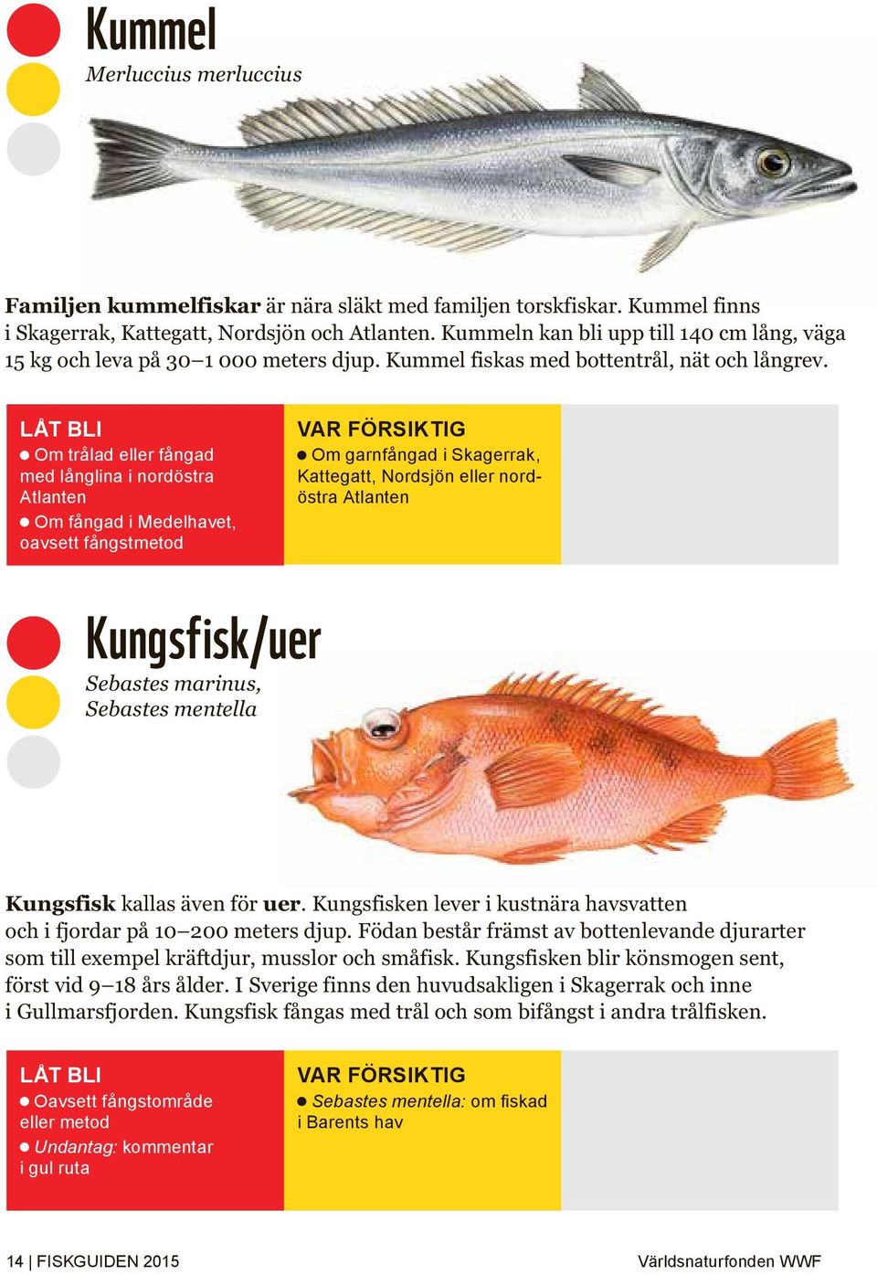 Om trålad eller fångad med långlina i nordöstra Atlanten Om fångad i Medelhavet, oavsett fångstmetod Om garnfångad i Skagerrak, Kattegatt, Nordsjön eller nordöstra Atlanten Kungsfisk/uer Sebastes