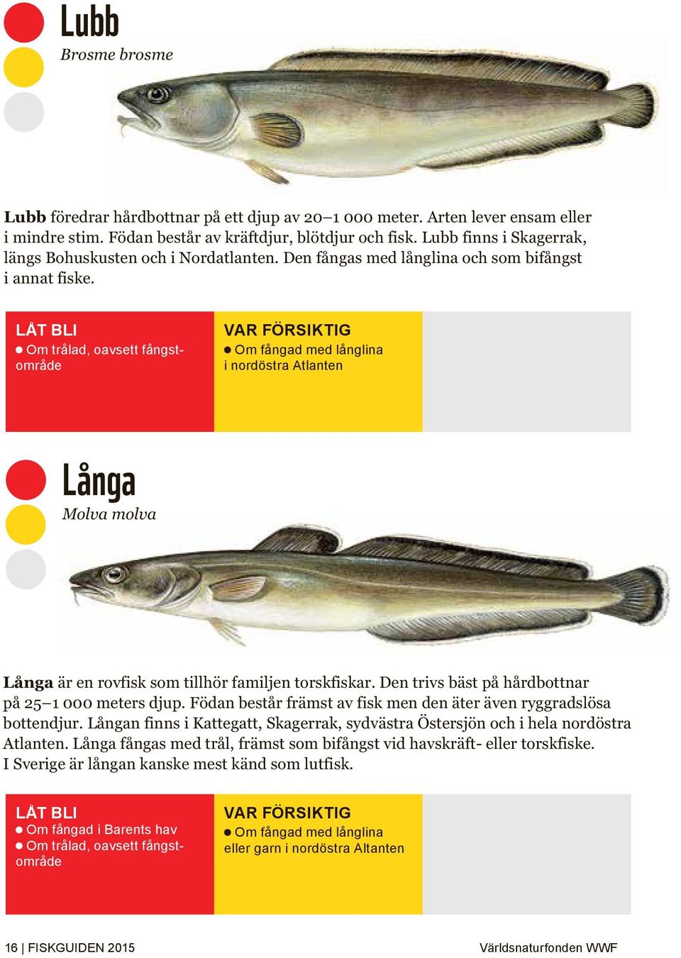 Om trålad, oavsett fångstområde Om fångad med långlina i nordöstra Atlanten Långa Molva molva Långa är en rovfisk som tillhör familjen torskfiskar.