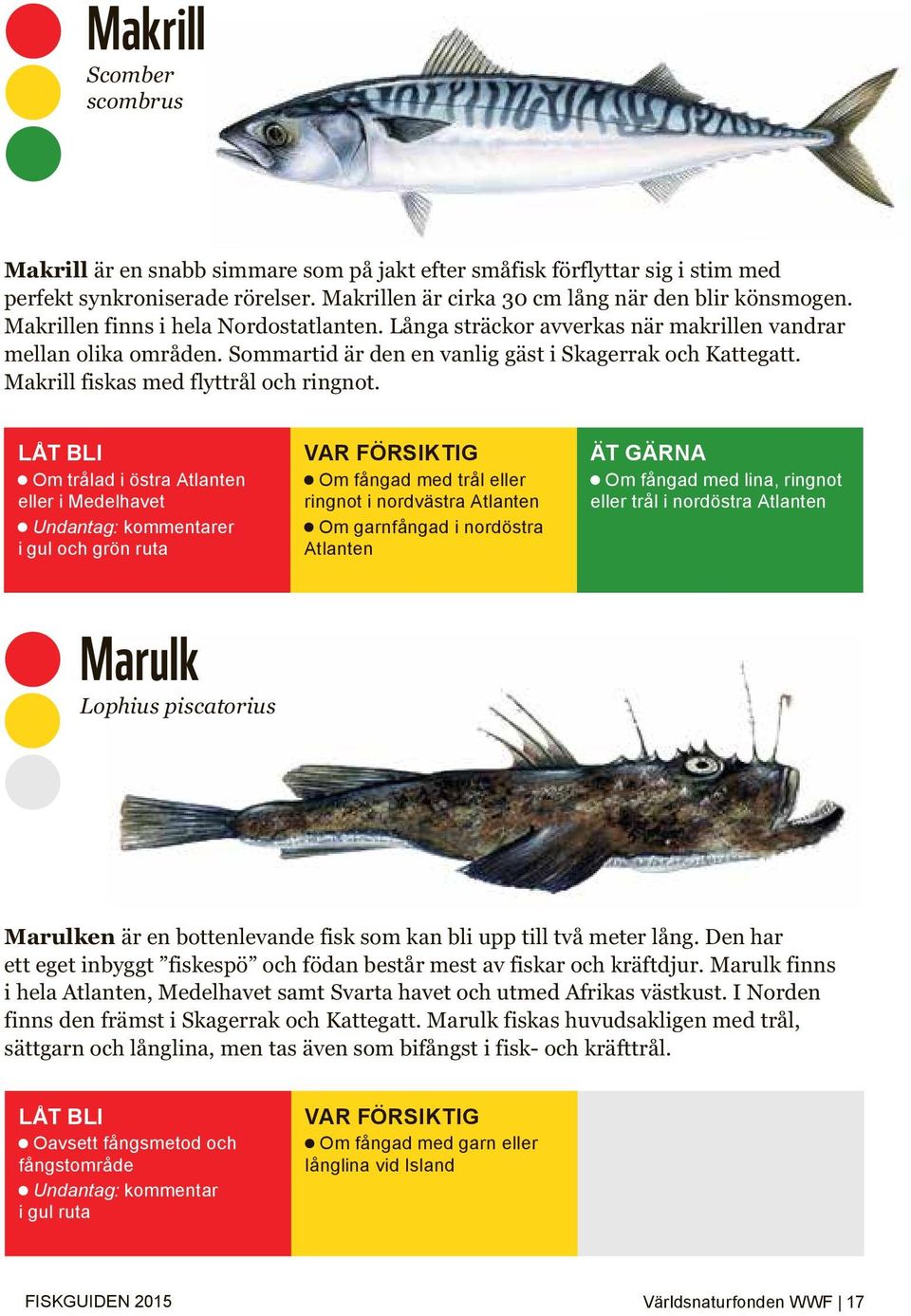 Makrill fiskas med flyttrål och ringnot.