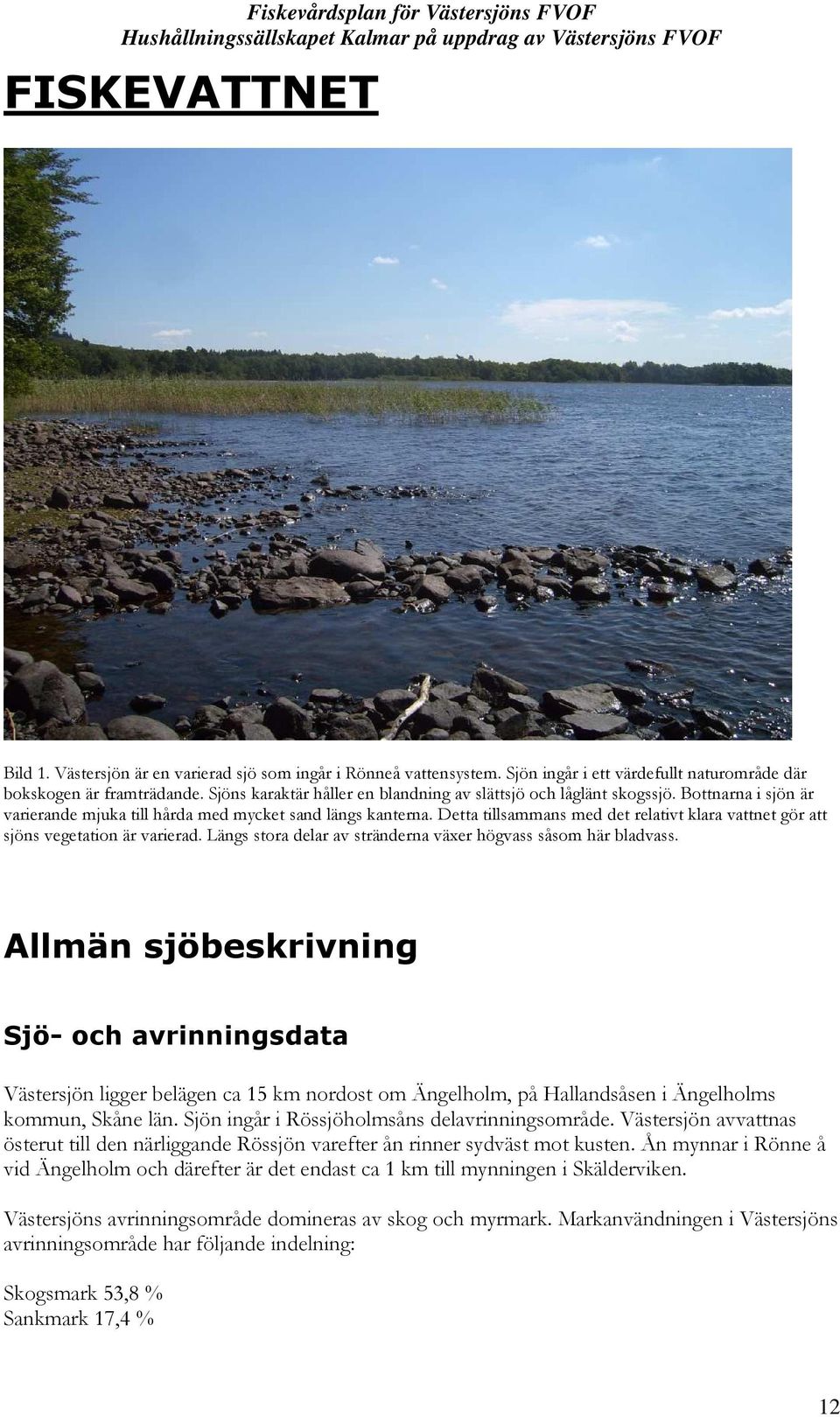 Detta tillsammans med det relativt klara vattnet gör att sjöns vegetation är varierad. Längs stora delar av stränderna växer högvass såsom här bladvass.