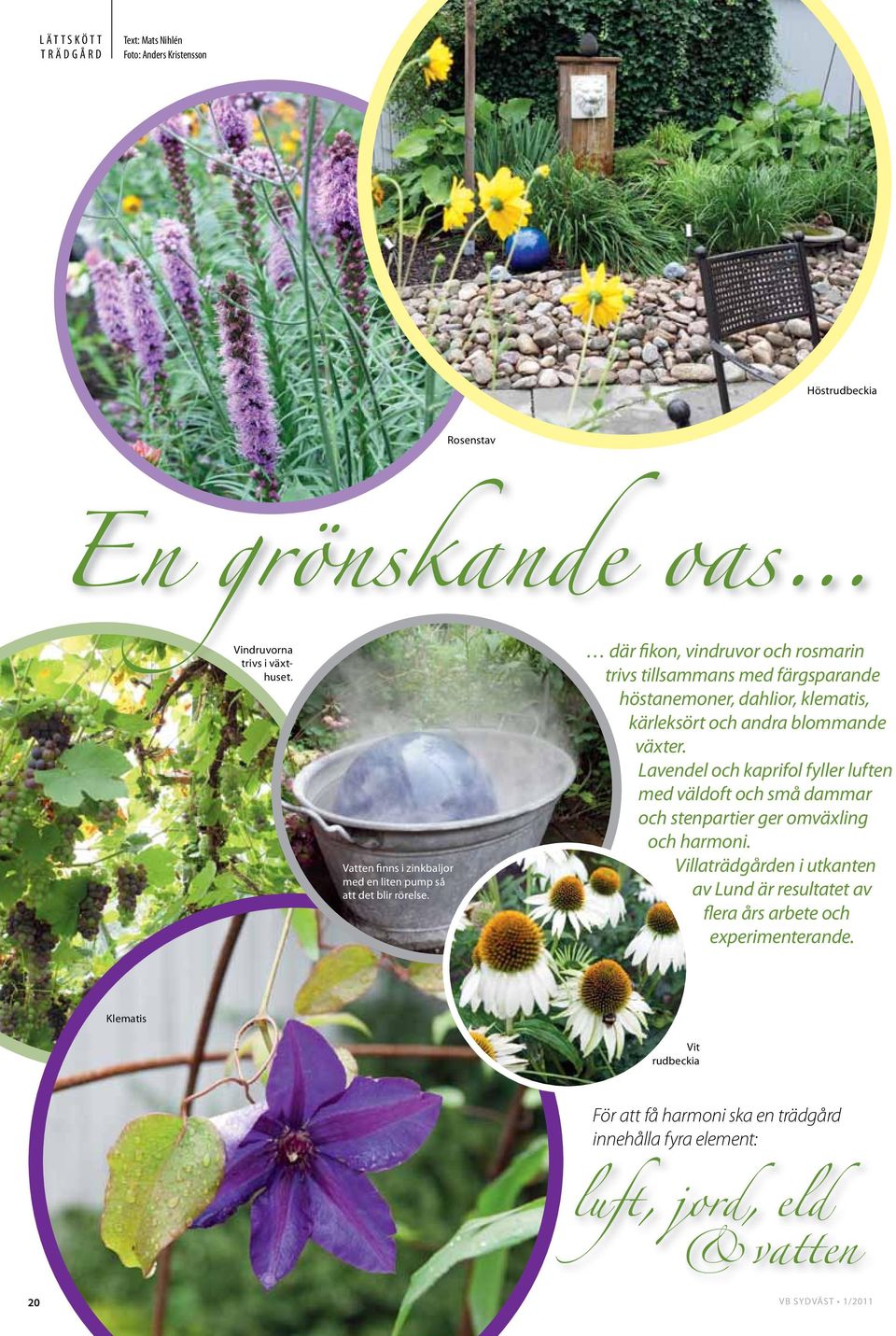 där fikon, vindruvor och rosmarin trivs tillsammans med färgsparande höstanemoner, dahlior, klematis, kärleksört och andra blommande växter.