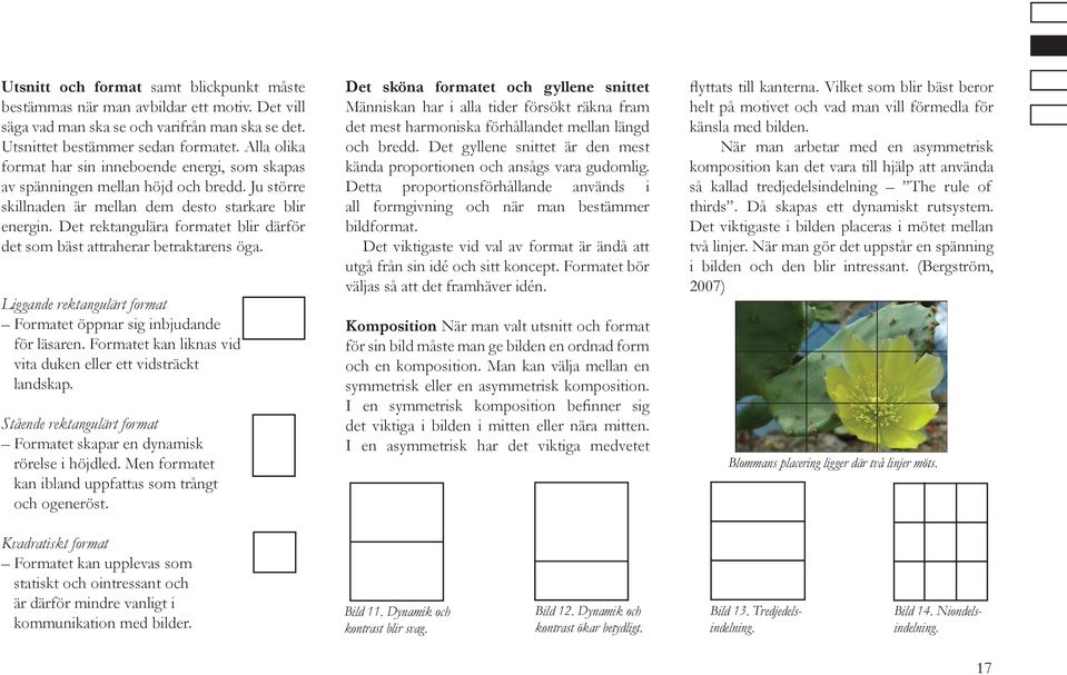 Det rektangulära formatet blir därför det som bäst attraherar betraktarens öga. Liggande rektangulärt format Formatet öppnar sig inbjudande för läsaren.