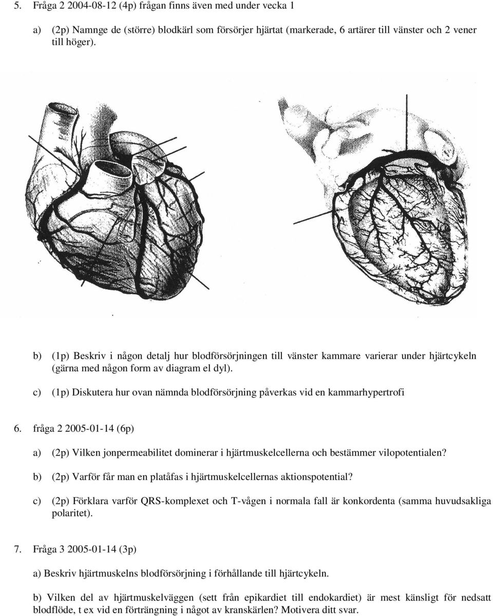 (1p) Diskutera hur ovan nämnda blodförsörjning påverkas vid en kammarhypertrofi fråga 2 2005-01-14 (6p) a) (2p) Vilken jonpermeabilitet dominerar i hjärtmuskelcellerna och bestämmer vilopotentialen?