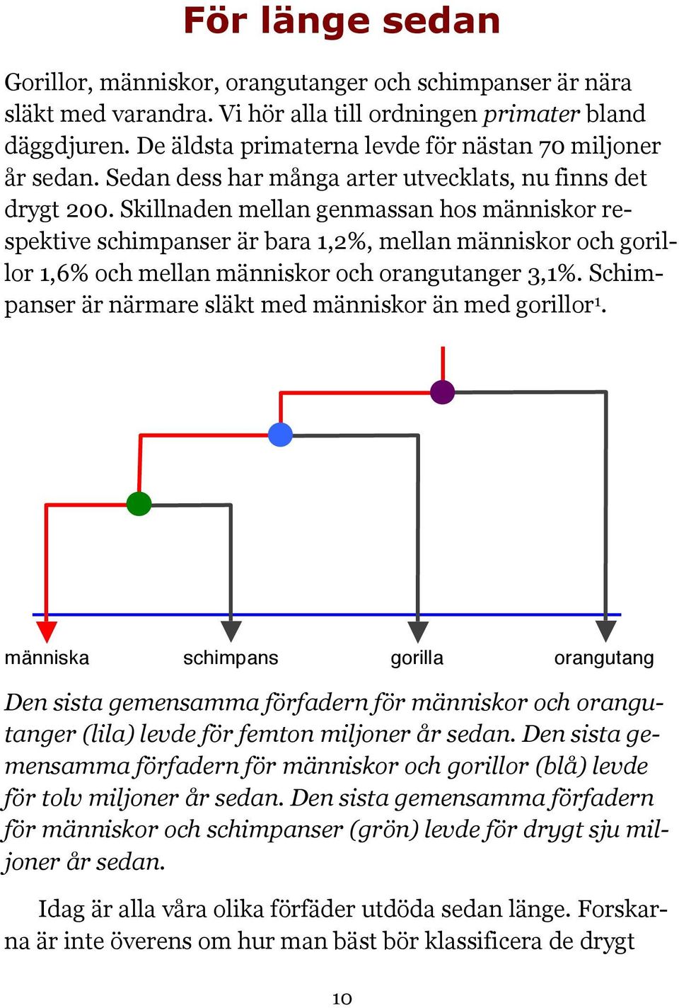 Skillnaden mellan genmassan hos människor respektive schimpanser är bara 1,2%, mellan människor och gorillor 1,6% och mellan människor och orangutanger 3,1%.