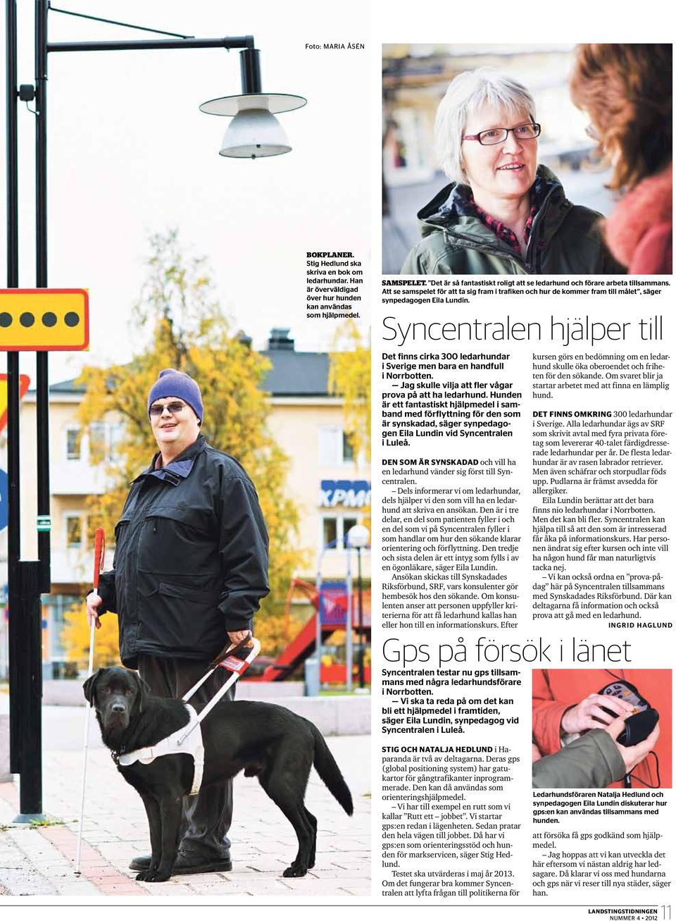 Syncentralen hjälper till Det finns cirka 300 ledarhundar i Sverige men bara en handfull i Norrbotten. Jag skulle vilja att fler vågar prova på att ha ledarhund.
