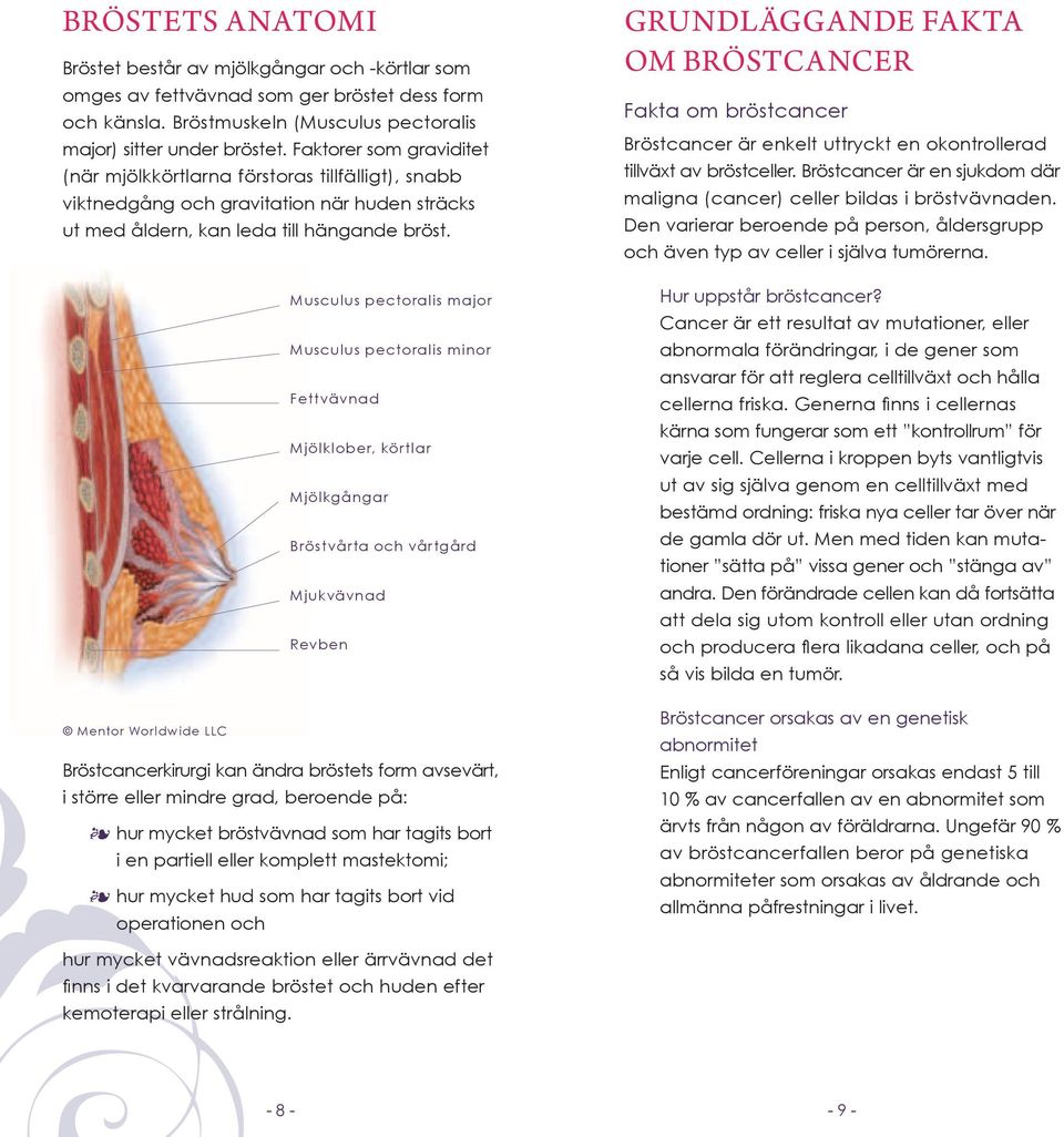 Musculus pectoralis major Musculus pectoralis minor Fettvävnad Mjölklober, körtlar Mjölkgångar Bröstvårta och vårtgård Mjukvävnad Revben GRUNDLÄGGANDE FAKTA OM BRÖSTCANCER Fakta om bröstcancer