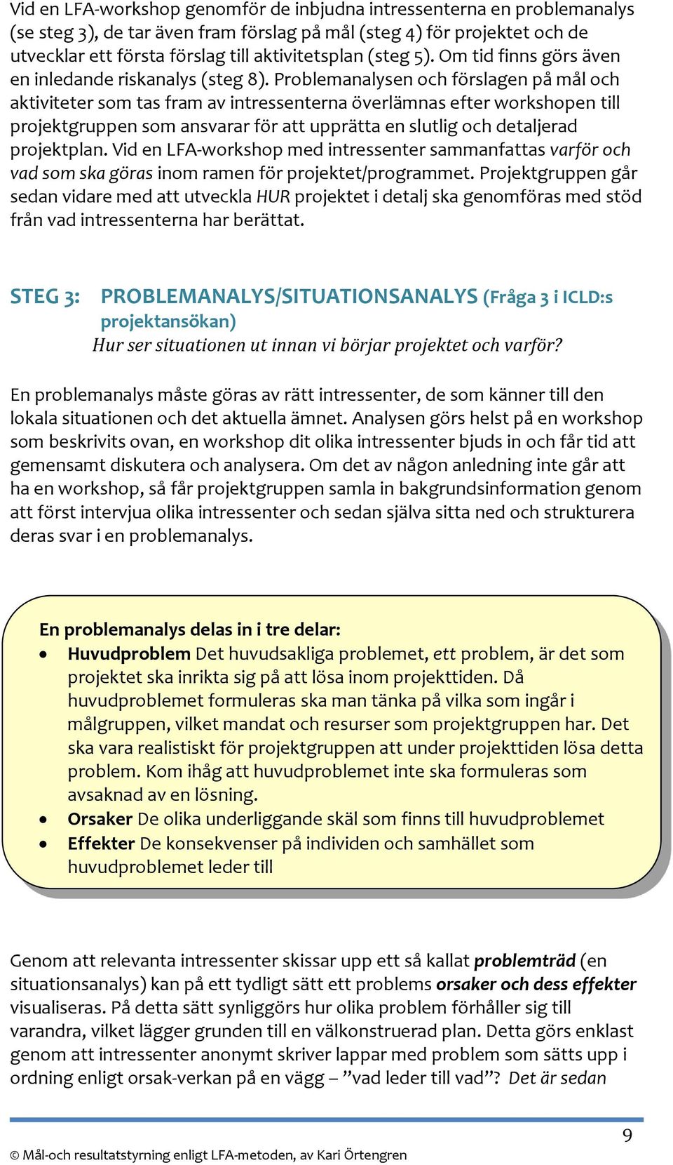 Problemanalysen och förslagen på mål och aktiviteter som tas fram av intressenterna överlämnas efter workshopen till projektgruppen som ansvarar för att upprätta en slutlig och detaljerad projektplan.