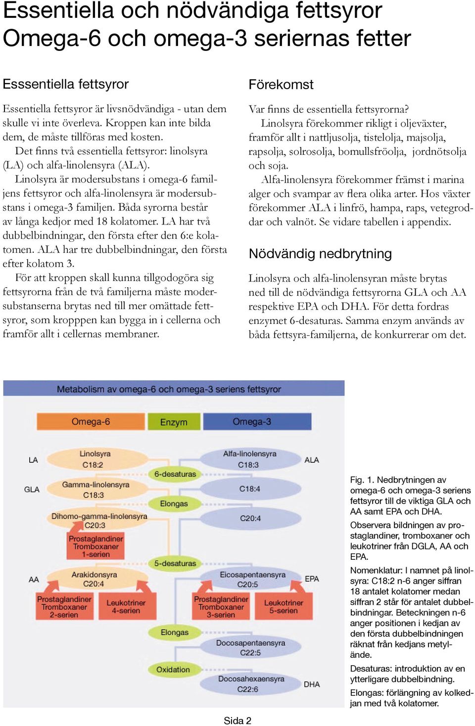 Linolsyra är modersubstans i omega-6 familjens fettsyror och alfa-linolensyra är modersubstans i omega-3 familjen. Båda syrorna består av långa kedjor med 18 kolatomer.