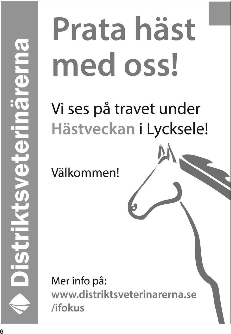 Hästveckan i Lycksele! Välkommen!