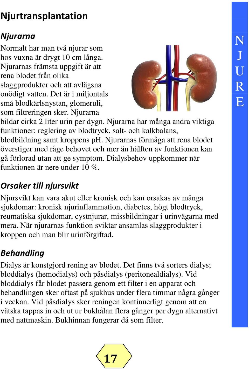 Njurarna har många andra viktiga funktioner: reglering av blodtryck, salt- och kalkbalans, blodbildning samt kroppens ph.