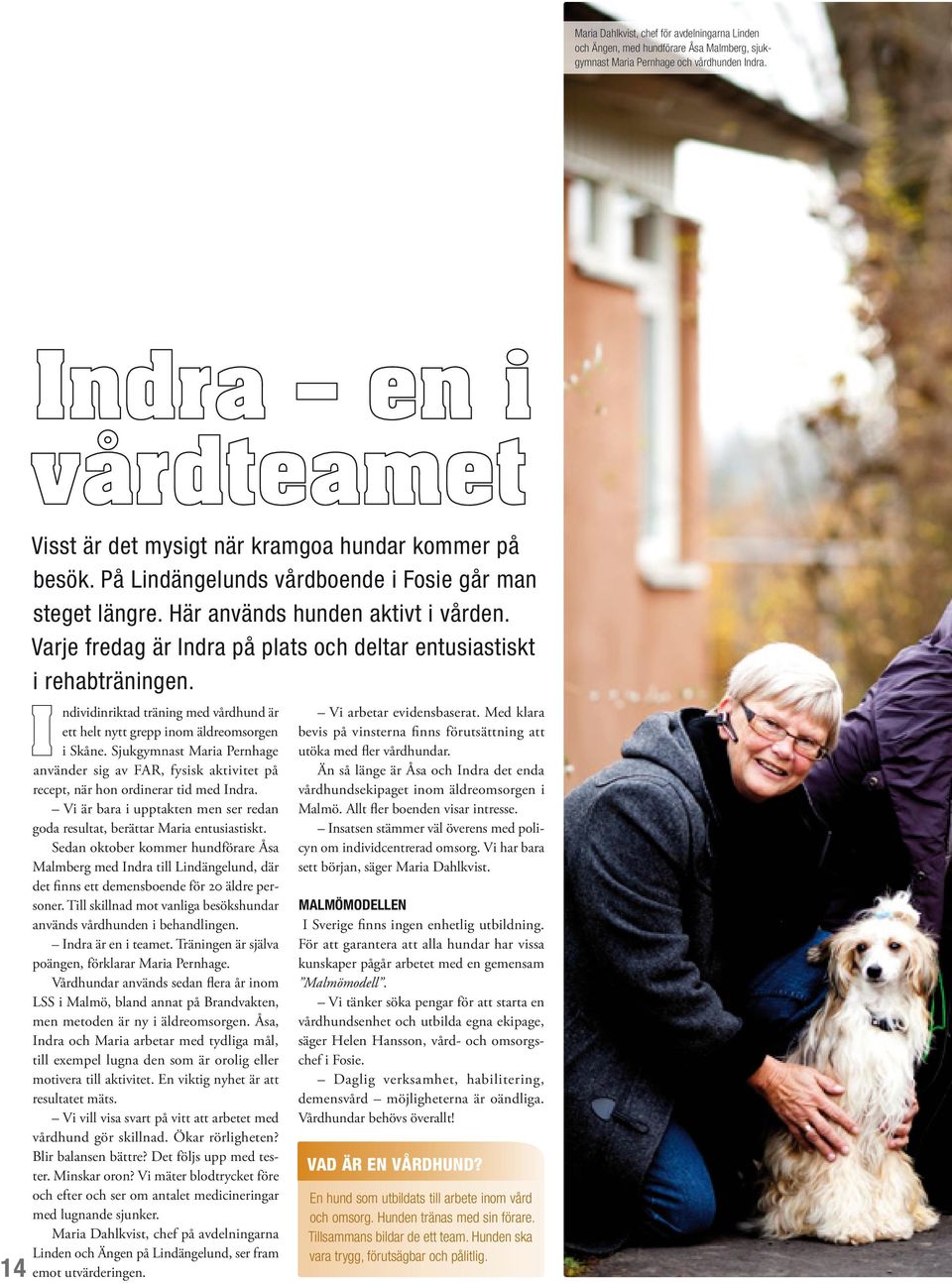 Varje fredag är Indra på plats och deltar entusiastiskt i rehabträningen. ndividinriktad träning med vårdhund är ett helt nytt grepp inom äldreomsorgen i Skåne.