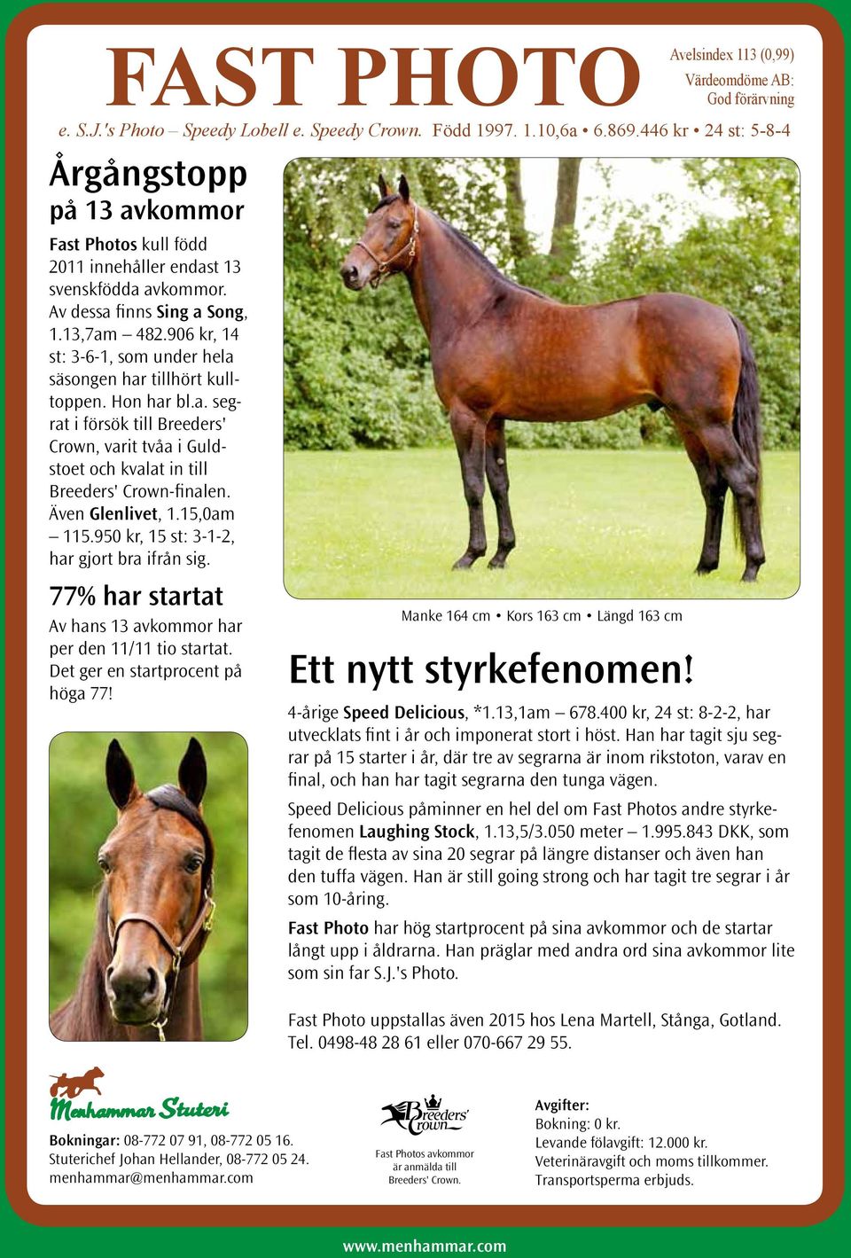 13,7am 482.906 kr, 14 st: 3-6-1, som under hela säsongen har tillhört kulltoppen. Hon har bl.a. segrat i försök till Breeders' Crown, varit tvåa i Guldstoet och kvalat in till Breeders' Crown-finalen.