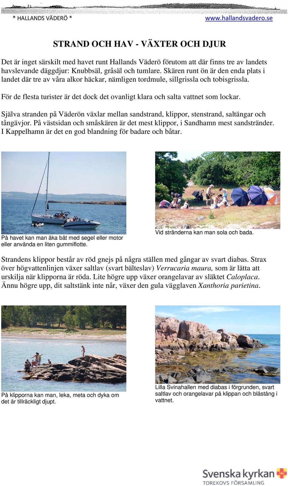 För de flesta turister är det dock det ovanligt klara och salta vattnet som lockar. Själva stranden på Väderön växlar mellan sandstrand, klippor, stenstrand, saltängar och tångävjor.