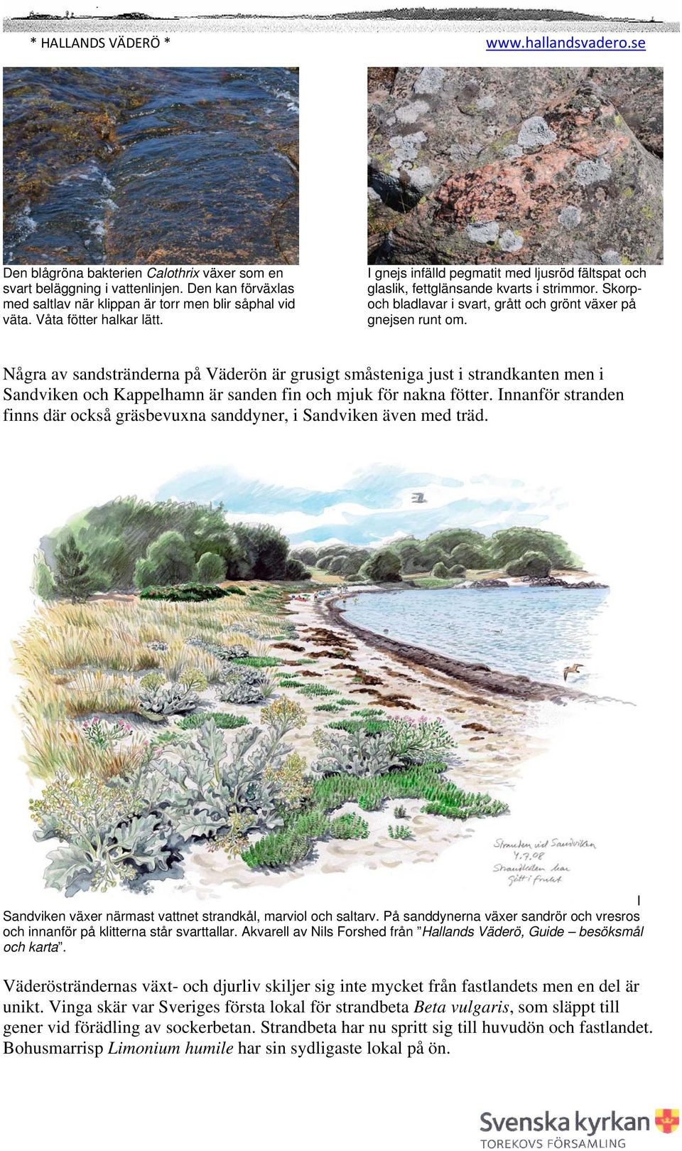 Några av sandstränderna på Väderön är grusigt småsteniga just i strandkanten men i Sandviken och Kappelhamn är sanden fin och mjuk för nakna fötter.