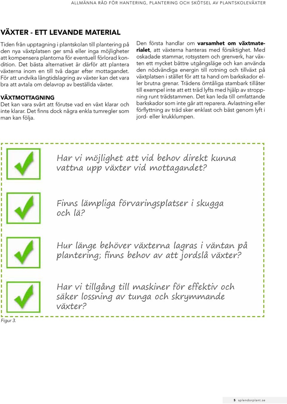 För att undvika långtidslagring av växter kan det vara bra att avtala om delavrop av beställda växter. VÄXTMOTTAGNING Det kan vara svårt att förutse vad en växt klarar och inte klarar.