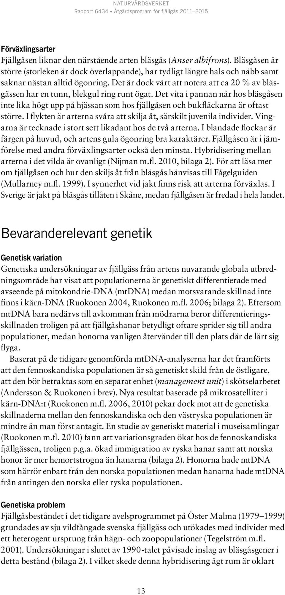 Det är dock värt att notera att ca 20 % av bläsgässen har en tunn, blekgul ring runt ögat.