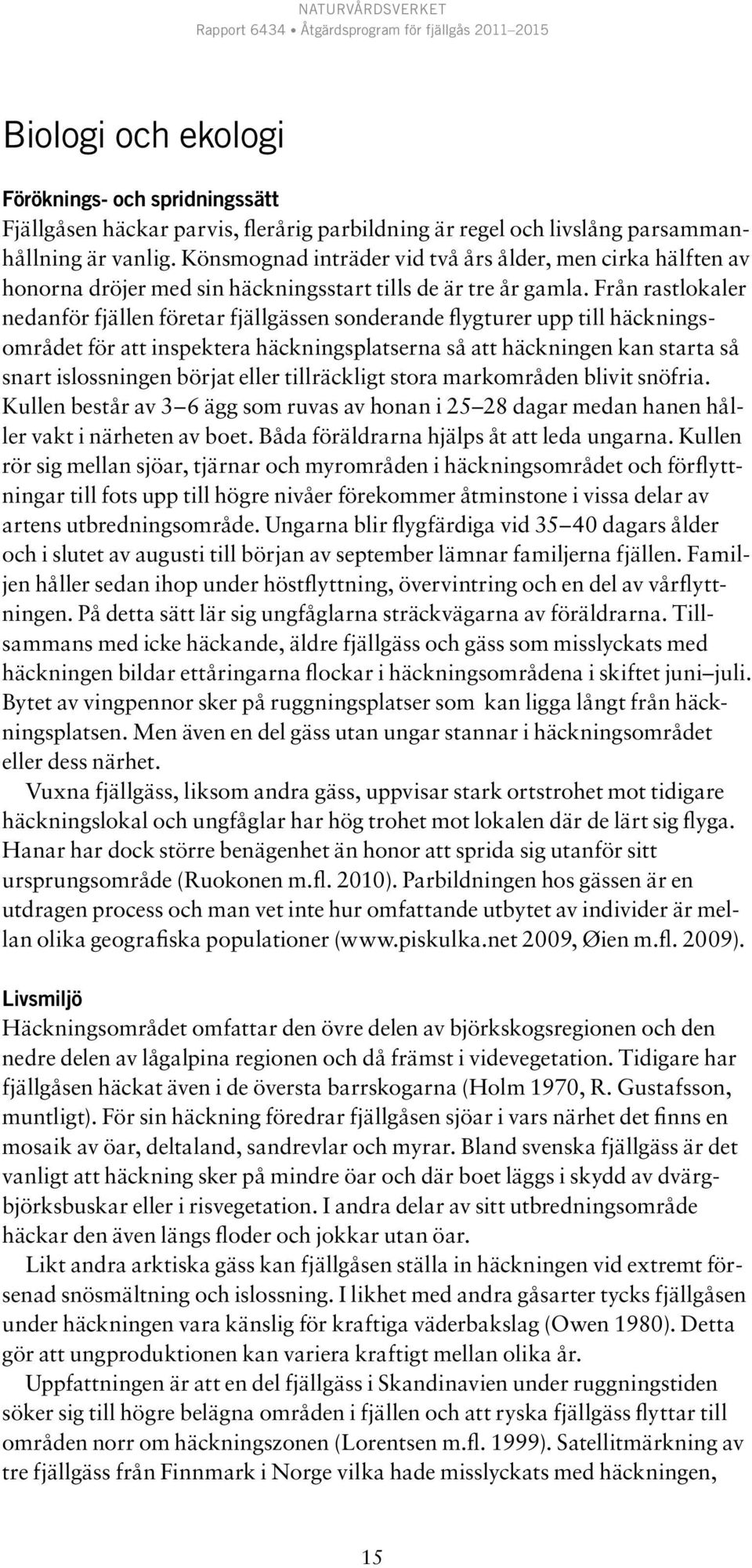 Från rastlokaler nedanför fjällen företar fjällgässen sonderande flygturer upp till häckningsområdet för att inspektera häckningsplatserna så att häckningen kan starta så snart islossningen börjat