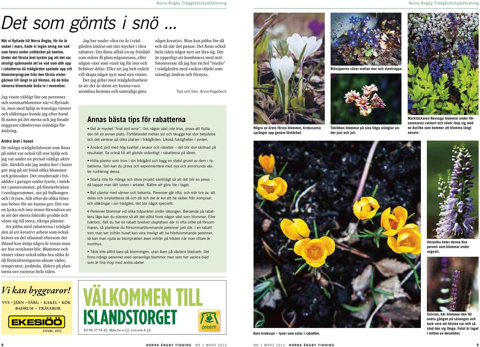 hösten, då de blåa nävorna blommade ända in i november.