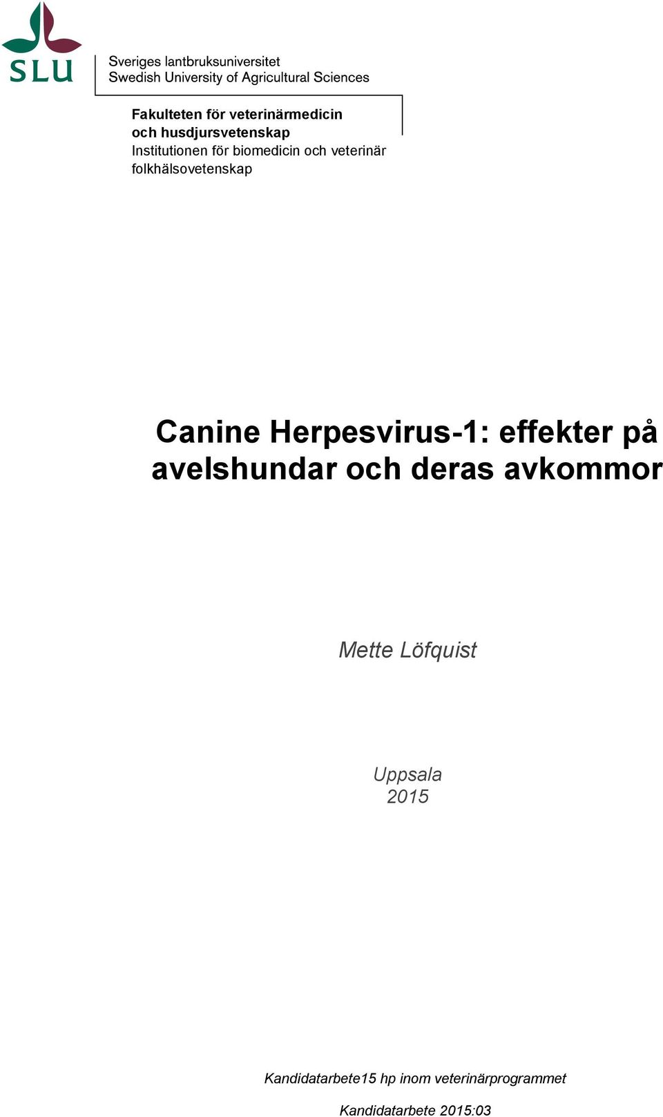 Herpesvirus-1: effekter på avelshundar och deras avkommor Mette