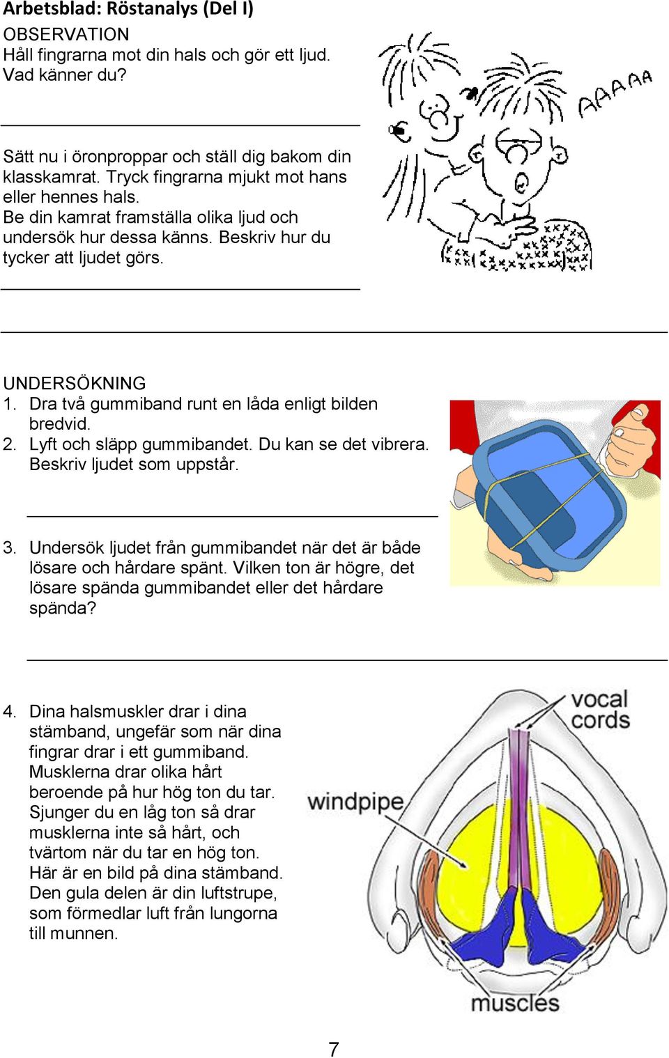 Dra två gummiband runt en låda enligt bilden bredvid. 2. Lyft och släpp gummibandet. Du kan se det vibrera. Beskriv ljudet som uppstår. 3.